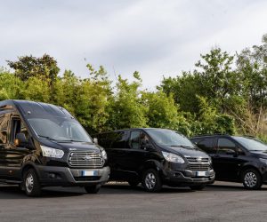 Parco veicolare mini bus